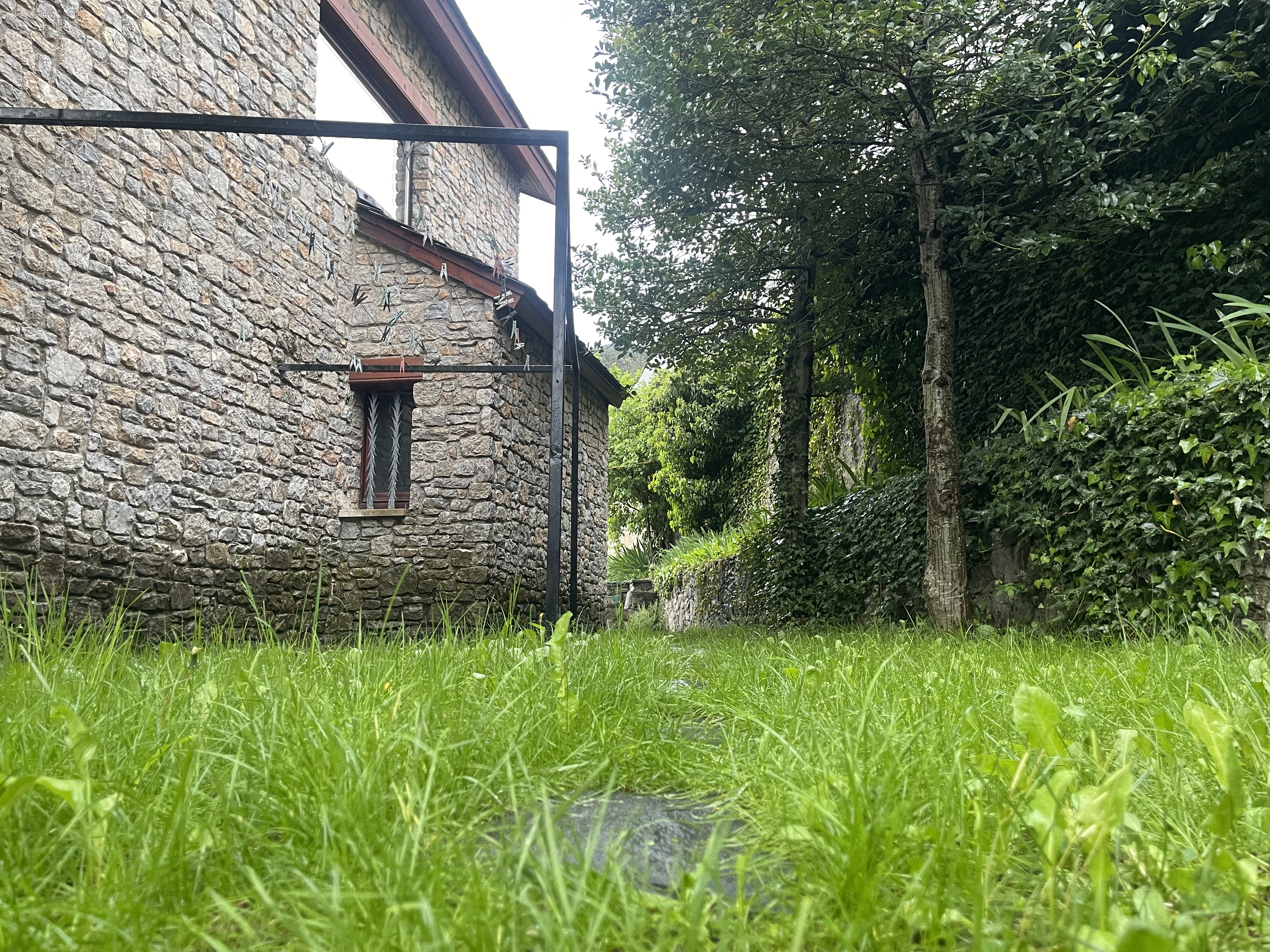 Lush green lawn beside the stone chalet walls with ivy-covered trees