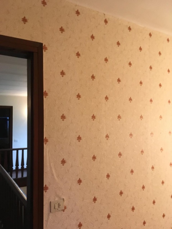 Renovation vision reno-59.jpg
